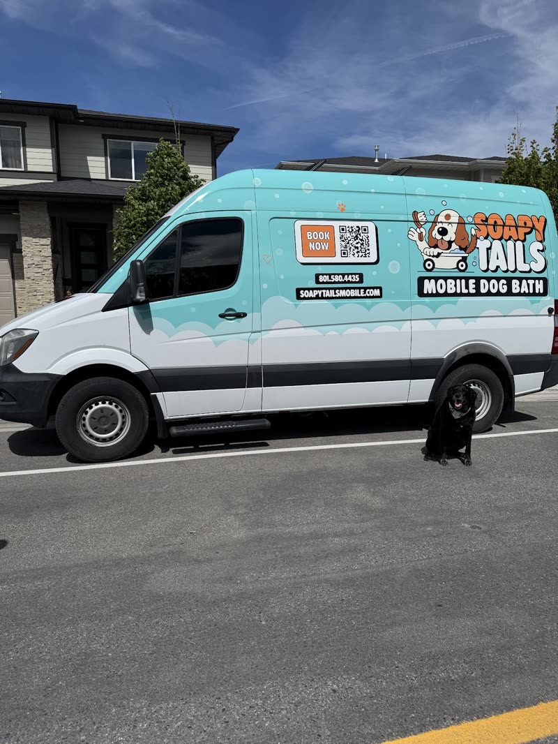 The Soapy Tails mobile dog bath van parked on the street outside a customer's house